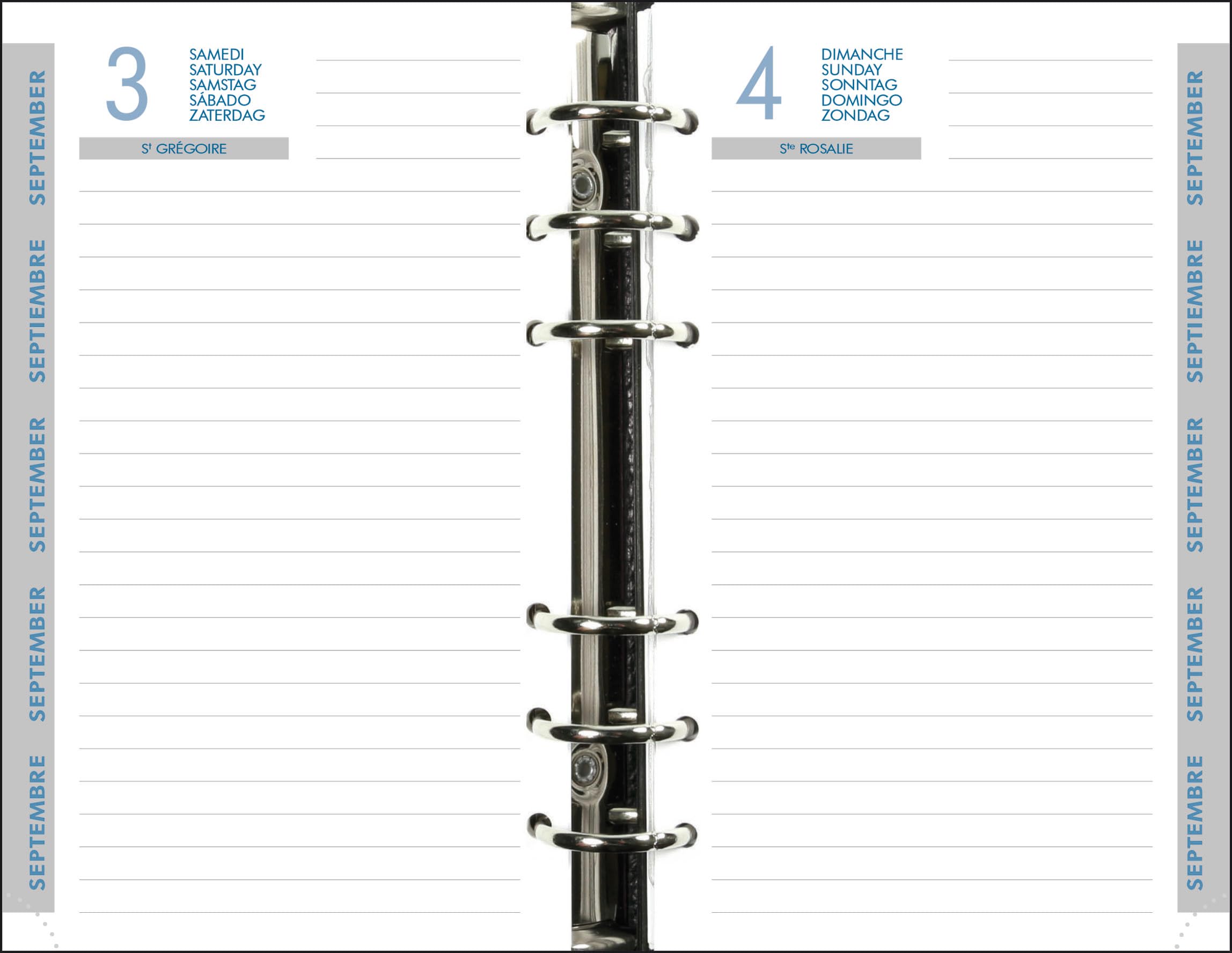 Exacompta Exatime 17 Journalier Refill 2016 to September 2017 105 x 172 mm