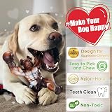 Zinbo Dog Toys for Aggressive Chewers Durable Nylon Bone Large Beef Flavor view 4