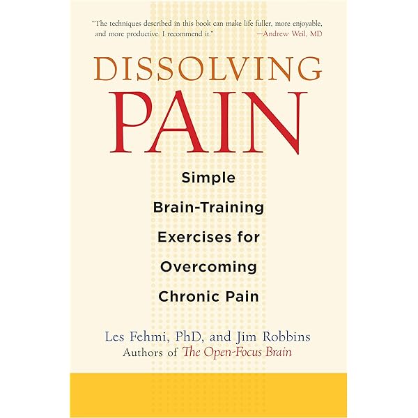 Pain Pain Go Away: Free Yourself From Chronic Pain: Faber, William