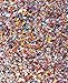 Chunky Cosmetic Holographic Glitter I Body, Face & Hair Safe I 16 pack + 1 glitter primer (dark)