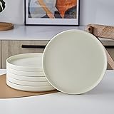 Stone lain Stella Dinner Plate 6-Piece