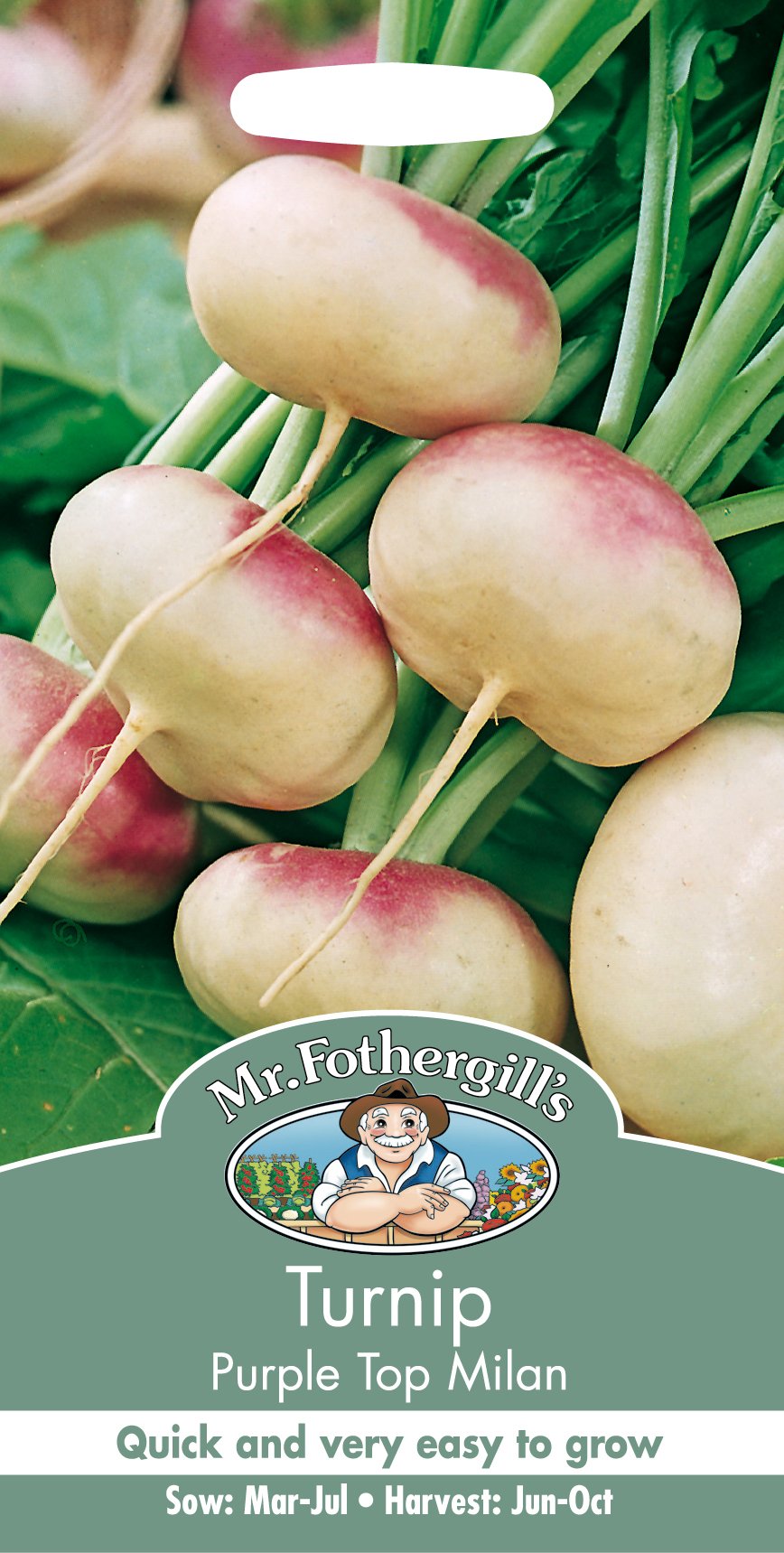 Mr Fothergill's Turnip Purple Top Milan