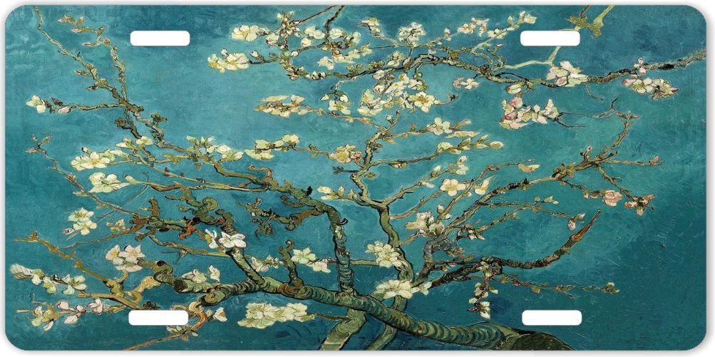 Covers Dubai Online Exterior Accessories Shop UAE Whizz Automotive