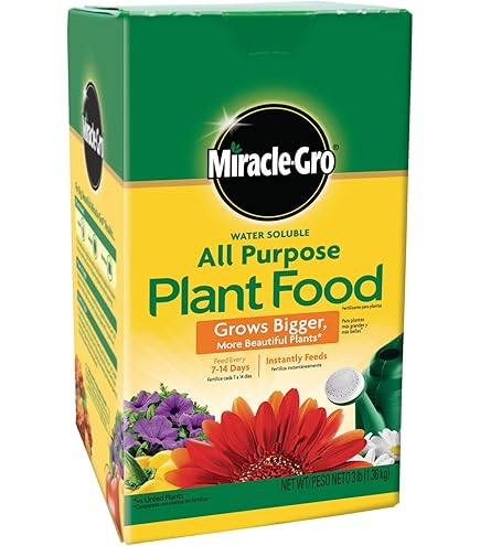 Amazon.com : Professional Nursery Grade Ginger Fertilizer 4 LB 6 Month Slow  Release Alpinia Costus Zingiber Hedychium Curcuma Plant Food : Patio, Lawn  & Garden