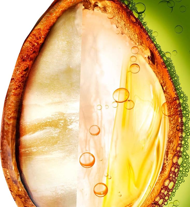 Fructis Shampoings