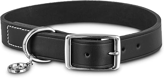 bond and co leather dog collars
