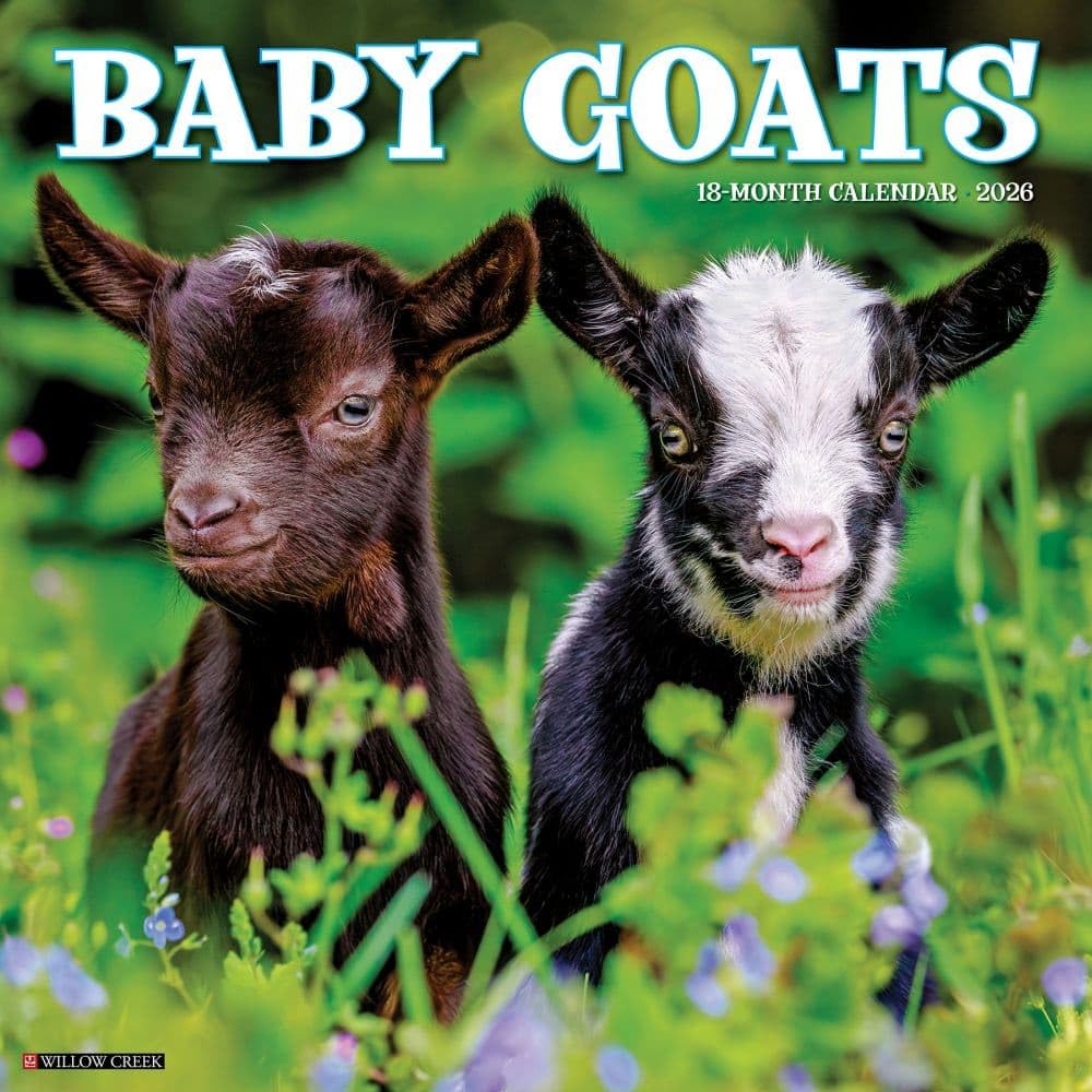 Photo 1 of Baby Goats 2026 12" x 12" Wall Calendar