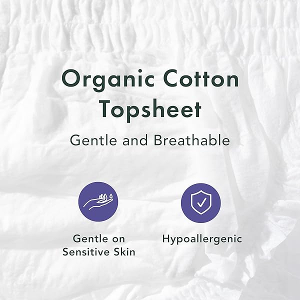 RAEL DISPOSABLE UNDERWEAR FOR WOMEN, ORGANIC COTTON COVER – INCONTINENCE PADS, POSTPARTUM ESSENTIALS, DISPOSABLE UNDERWEAR, UNSCENTED, MAXIMUM COVERAGE (SIZE S-M, 10 COUNT)