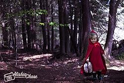 Flower Girl Dress, Lace Dress 3/4 Sleeve Dress