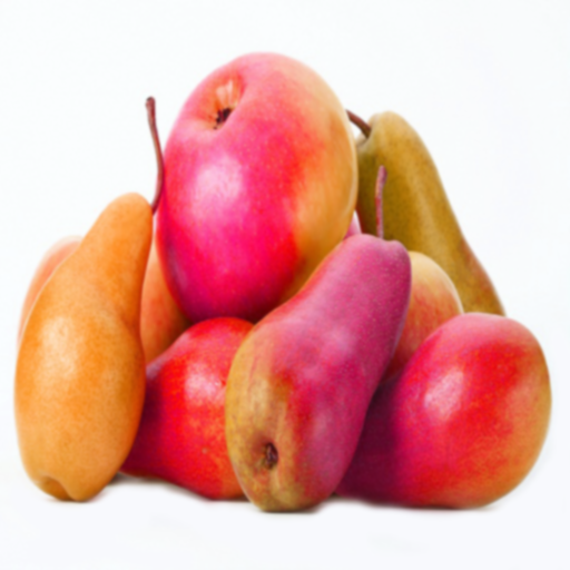 Download New FODMAP aSWAPP - your new best friend in a low FODMAP diet trial Download New FODMAP aSWAPP - your new best friend in a low FODMAP diet trial