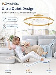 ZMISHIBO 24 Inch Ceiling Fans with Lights and