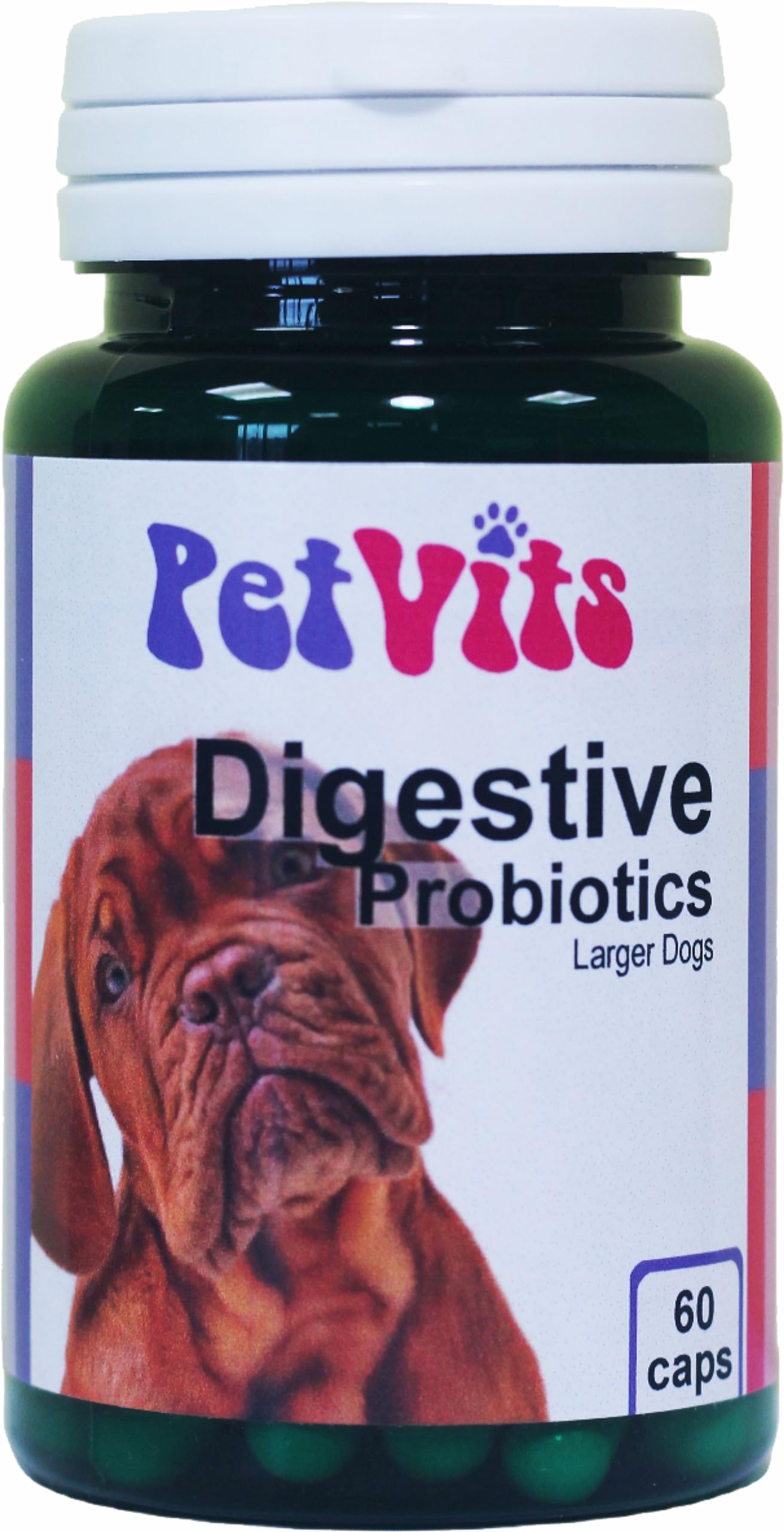 PetVits Digestive Probiotics for Large Dogs : Digestive Health Pet Supplement : 60 Capsules, in a 99% recycled pot