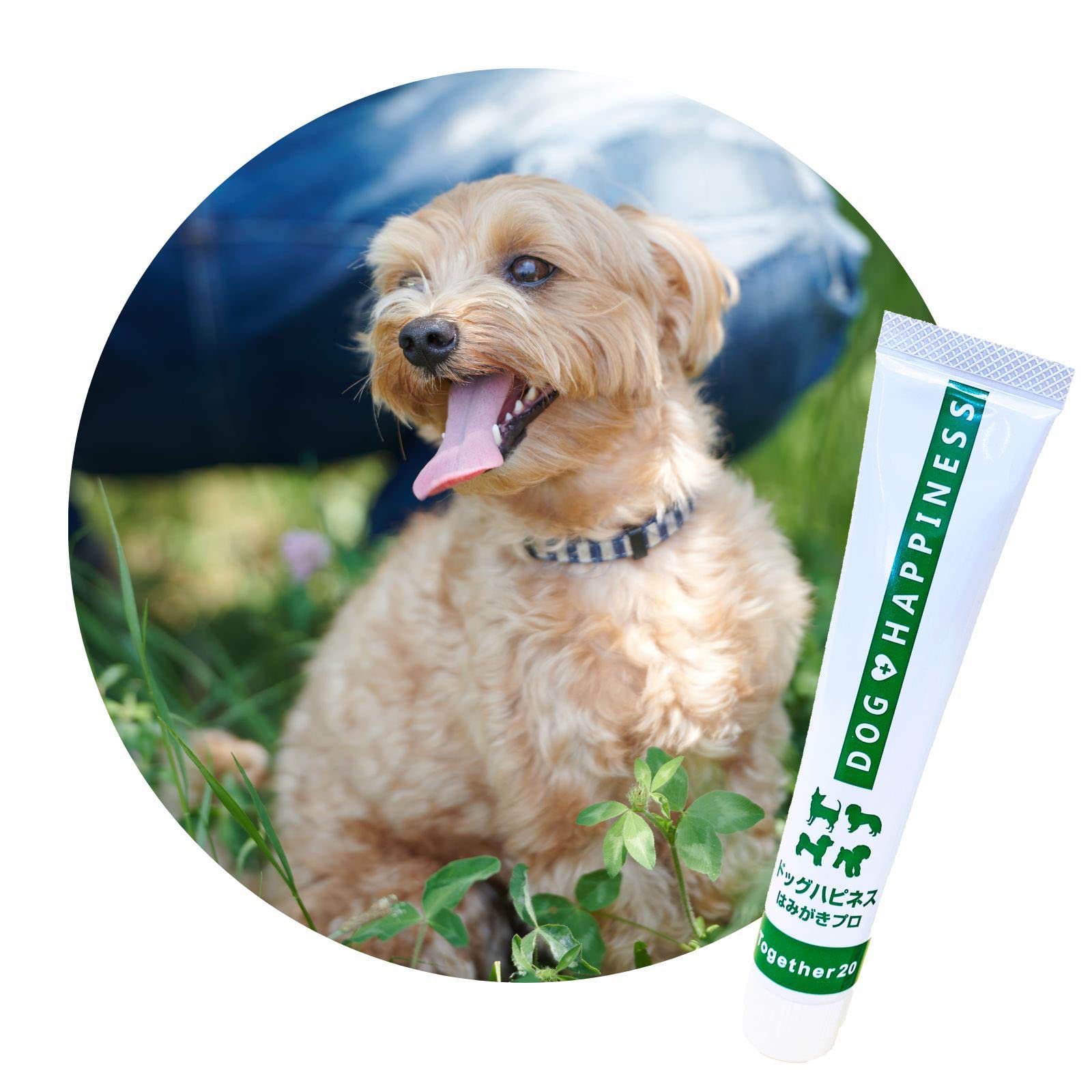 ドッグハピネスはみがきプロ 犬 歯磨き 歯磨き粉 歯磨きジェル 口臭 口臭ケア 歯石 歯垢 歯周病 45g商品画像