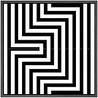 SIGNWIN Framed Canvas Wall Art Optical Illusion Line Art in a 3D Effect Geometric Shapes Illustrations Minimalism Modern Fun Black and White for Living Room, Bedroom, Office - 16x16 inches