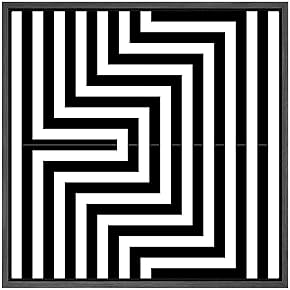 SIGNWIN Framed Canvas Wall Art Optical Illusion Line...