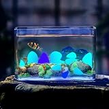 GLOCARNIVAL Glow Pebbles 480 Blue Glowing Rocks for Garden Walkway Outdoor view 6