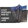 THERABAND Resistance Band Set, Professional Elastic Bands for Upper & Lower Body & Core Exercise, Physical Therapy, Lower Pil