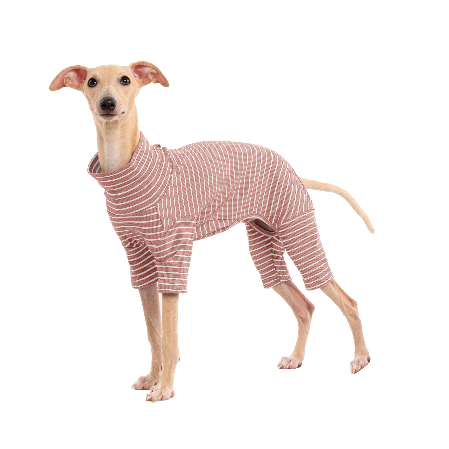 Photo 1 of Dog Sweaters for Small Dogs Girls Boys, Striped Pet Sweaters for Fall Winter Dog Clothes, Turtleneck Pullover Knitwear for Small Medium Large Dogs