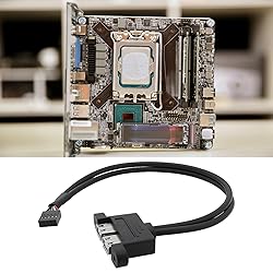 Be In Your Mind 2PCS 9-Pin to Dual USB 2.0 Ports