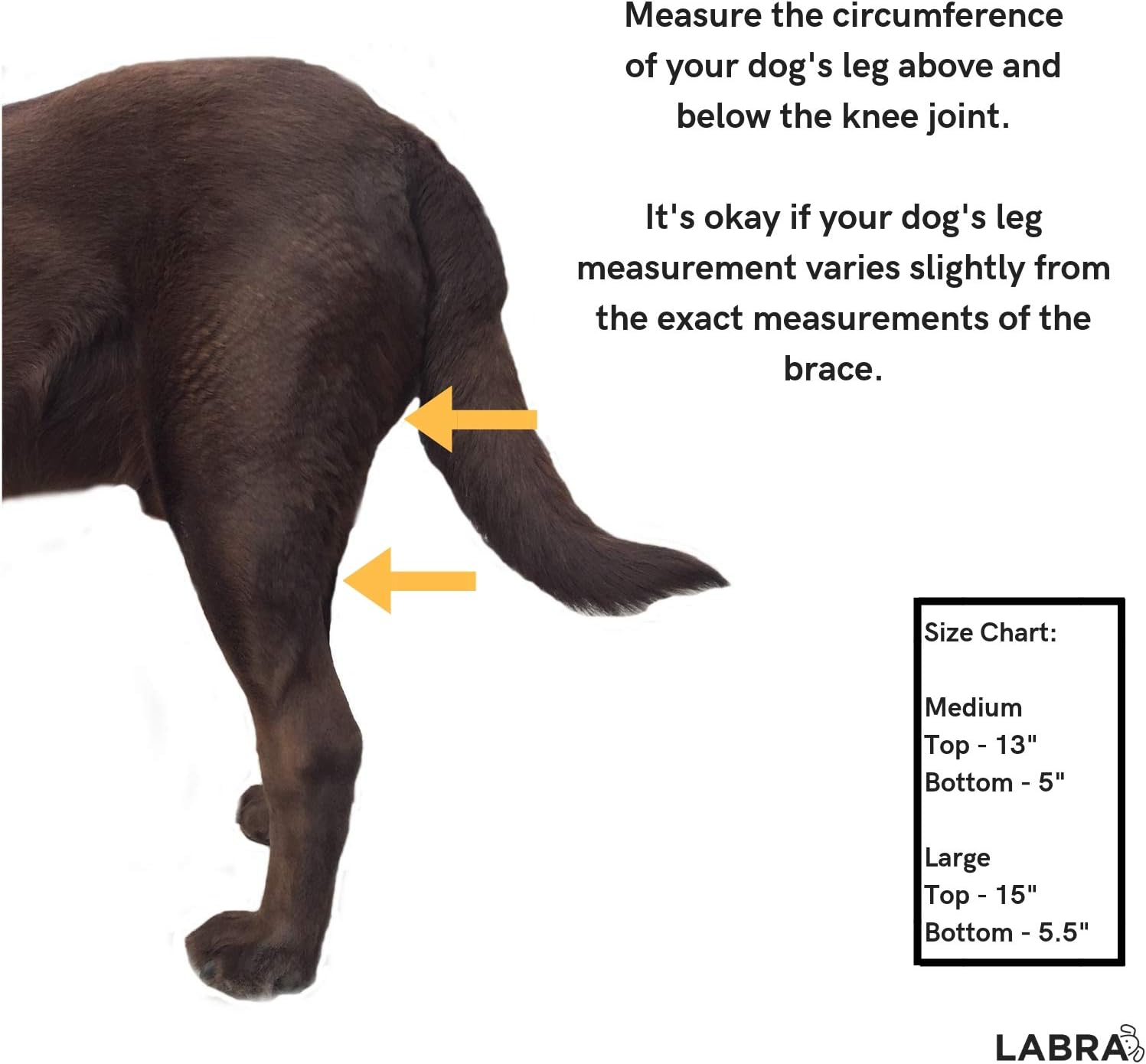 labra dog knee brace