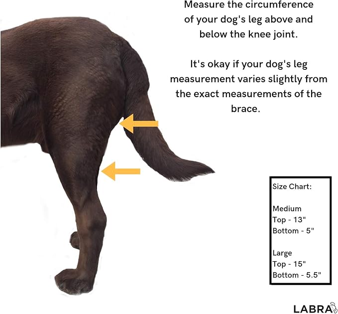 labra canine knee brace