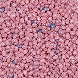 Smarty Stop Jelly Beans Every Flavor Candies
