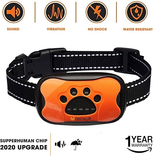 best no shock dog bark collar