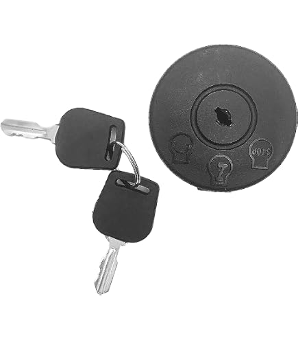Amazon.com: CUB CADET 725P12066 3 Position 6 Pin Key Switch Ultima