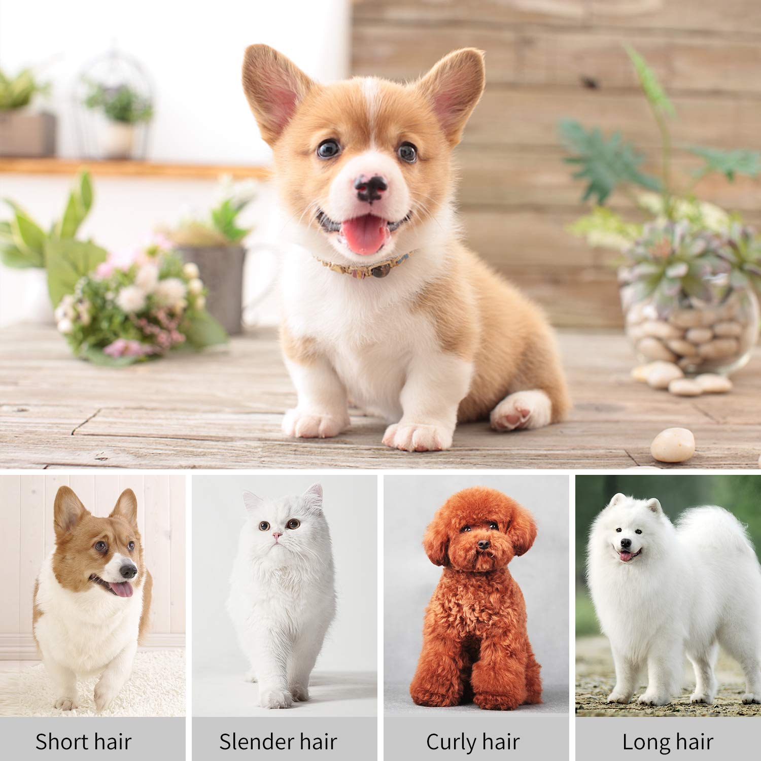 BESTBOMG Professional Electric Corded Dog Cat Trimmer Grooming Clipper Hair Removal Animal U-Clip Cordless Pet Grooming Clippers Set with Detachable Blade for All Coats with 4 Guide Combs Scissors