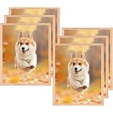 HNDFLU 8x10 Set of 6 Oak Wood Picture Frame Solid Wooden Photo Frame Natural Wood Color Frames with Plexi-Glass for Wall Mounting or Tabletop Living Room Bedroom Home Decor