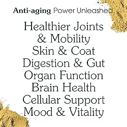 All-in-One Dog Supplement for Advanced Wellness