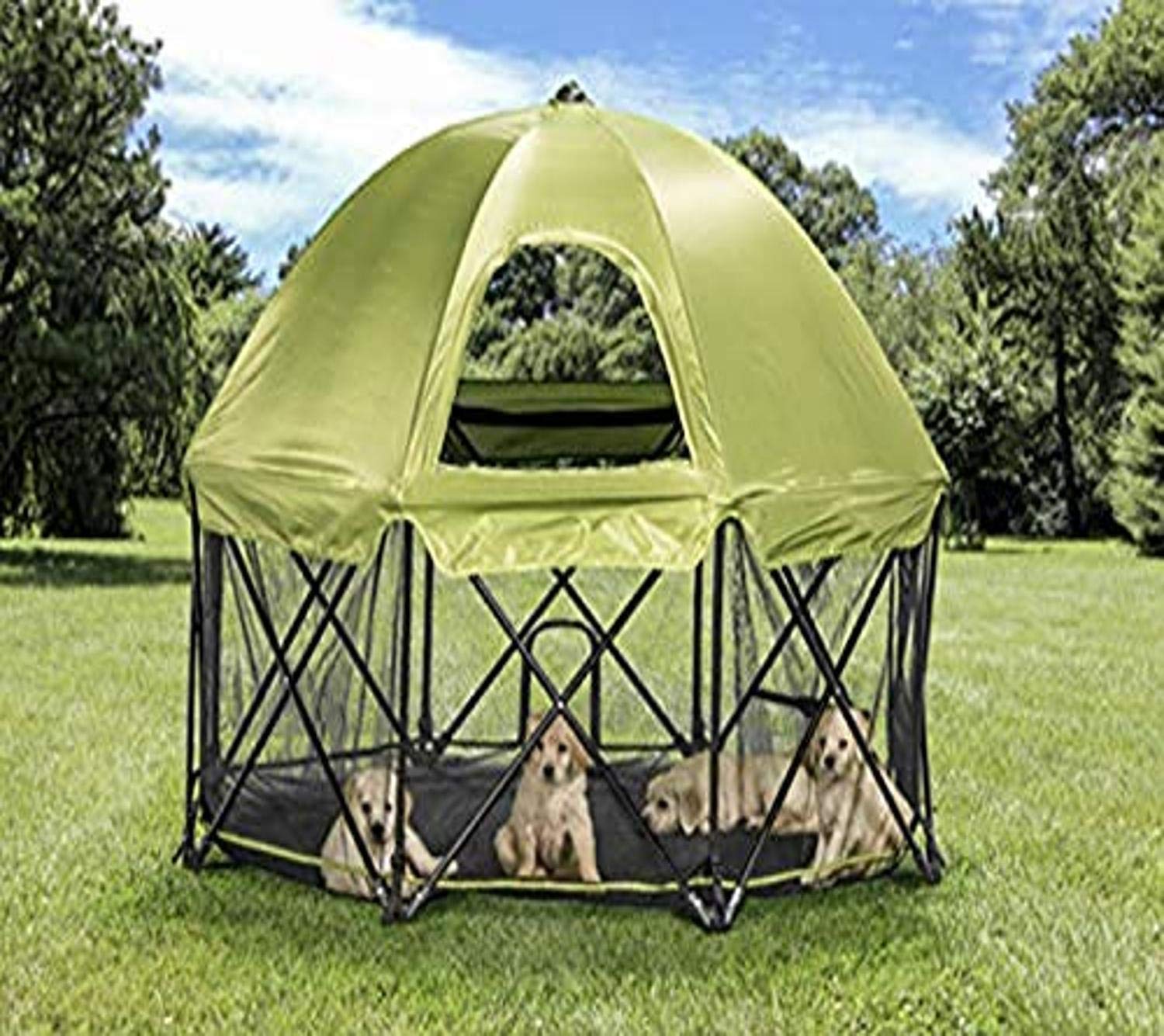 carlson pet playpen