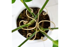 YOHSNOR Durable Monstera Plant Support Hooks 5.5in - 5-Piece Set for Indoor Plant Stabilization, Easy-to-Use Grapple Holders for Monstera and Turtle Shell Plants for Plant Lovers