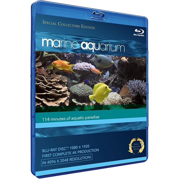 Amazon.com: Exotic Saltwater Aquarium : Artist Not Provided