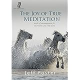 The Joy of True Meditation: Words of Encouragement for Tired Minds and Wild Hearts