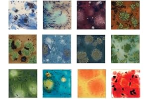 Mayco Crystalites Glaze Set 4 oz - 12 Jars