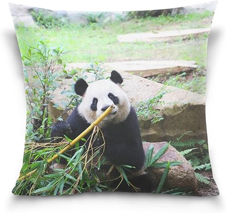 Amazon Co Jp 夏のめもり Natunomemori パンダ Panda クッションカバー 枕カバー かわいいパンダ 萌え萌え 竹 面白い 正方形 部屋飾り 45 45cm リビングルーム ホーム キッチン Amazon Co Jp 夏のめもり Natunomemori パンダ Panda クッションカバー 枕カバー かわいいパンダ 萌え萌え 竹 面白い 正方形 部屋飾り 45 45cm リビングルーム ホーム キッチン