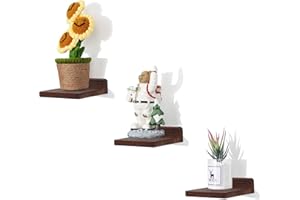 NIUBEST Small Floating Shelf,5x5 Inch Dark Walnut,Set of 3 Small Wall Shelves for Bedroom Living Room Bathroom Kitchen Decor