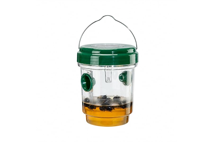 Trap for Wasp