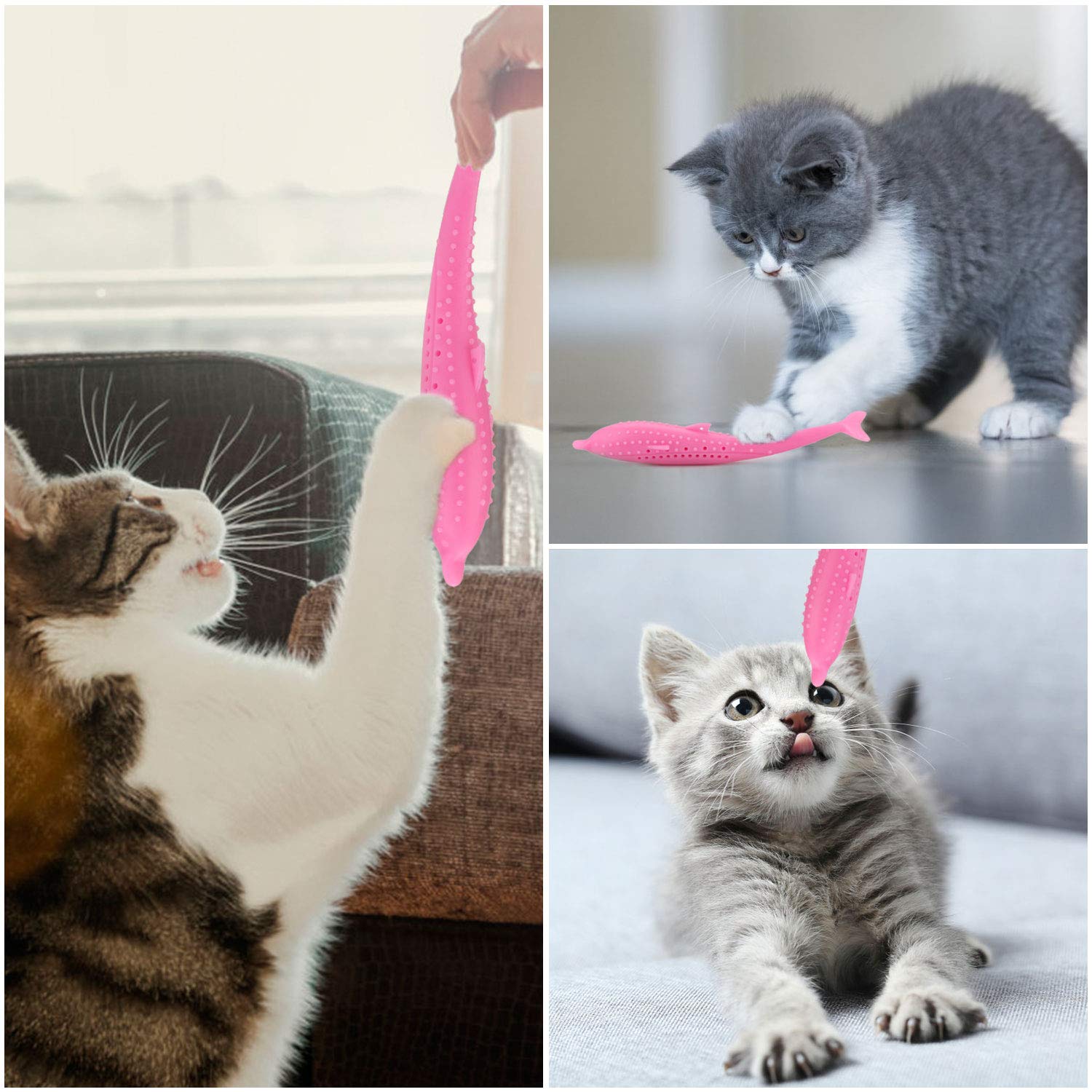 Legendog Pet Toy Creative Silicone Fish Shape Cat Toothbrush Cat Teething Toy with Catnip