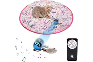 GoldSuccess Interactive Cat Toys Ball Self Rolling in Pouch,Hunting Remote Control Simulated Chirping Bird Moving Cat Toy with Mat,Hide and Seek for Indoor Cats Mouse Chasing Games