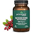 Prominent Nutrition Berberine Phytosome Supplement, Healthy Gut Support, 550 mg, 60 Count