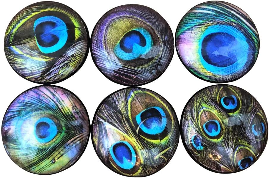 Set of 6 Blue and Green Peacock Feather Cabinet Knobs