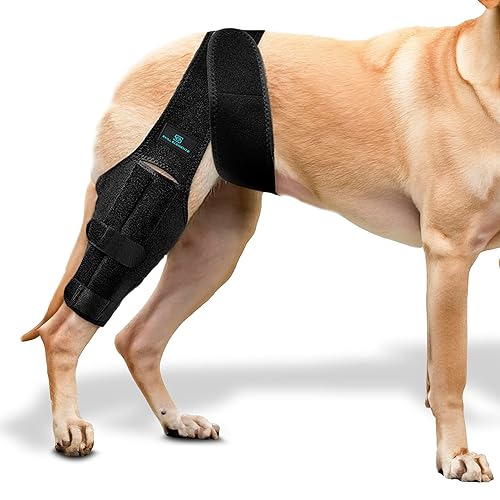 Hind Legs Dog Rear Knee Brace Bark Rx Dog Knee Brace Hind Leg