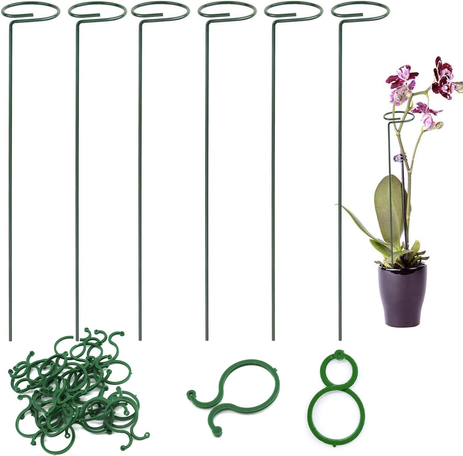 JiangLin 6 Pack Plant Support Stakes, Single Stem Plant Support Ring