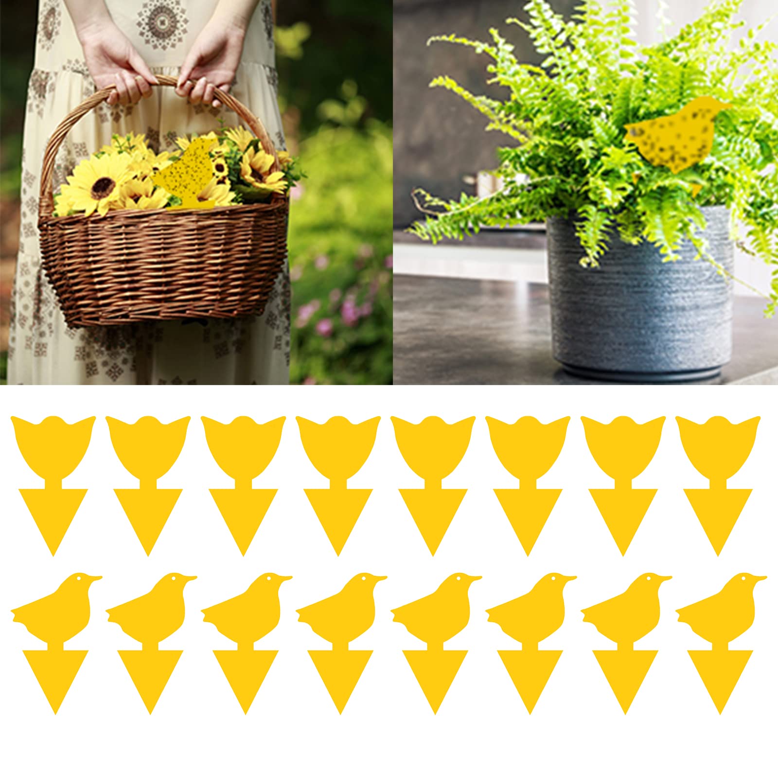 Anti-gnat plant, fly catcher, insect traps, indoor gnat catcher, nematos midges, plug-in fly trap yellow plates sticker plant, 16 pieces, (birds & tulips)