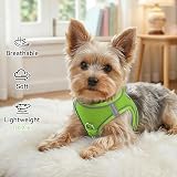 Joytale Step in Dog Harness Soft Mesh Reflective Easy Walk M Green view 4