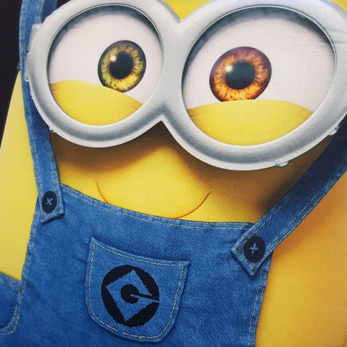 minion seat covers and floor mats