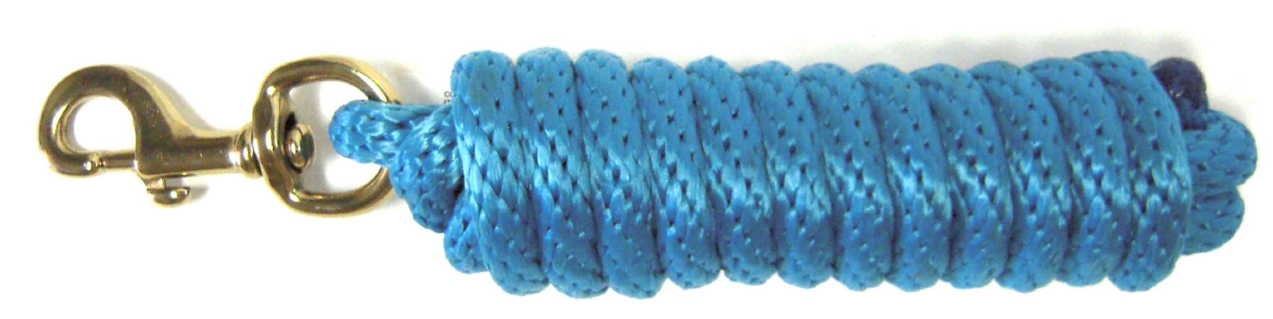 Hamilton Poly Lead with Bolt Snap, 10 ft, Ocaen Blue