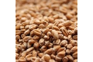 CHICAGO BREW WERKS Weyermann Pale Wheat Malt 10 lb